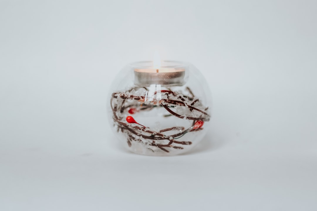 Eco-Friendly Home Decor: Sustainable Style for a Greener Home