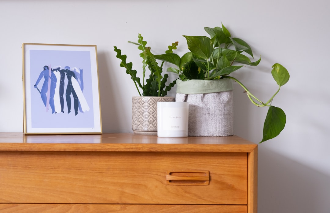 Eco-Friendly Home Decor: Stylish and Sustainable Choices for a Greener Home